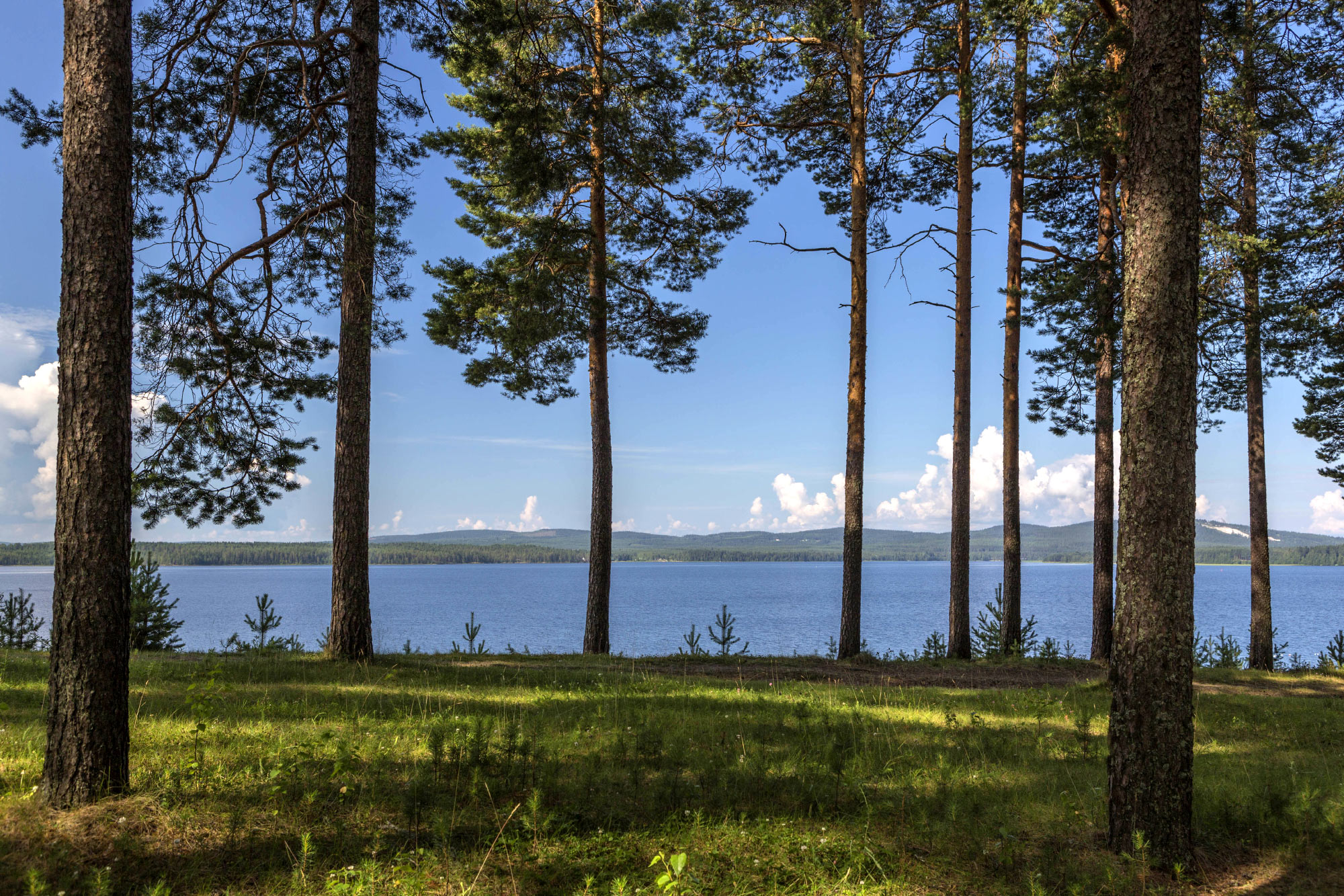 Sotkamo